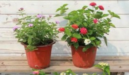 昆明银行最近爆料新闻视频